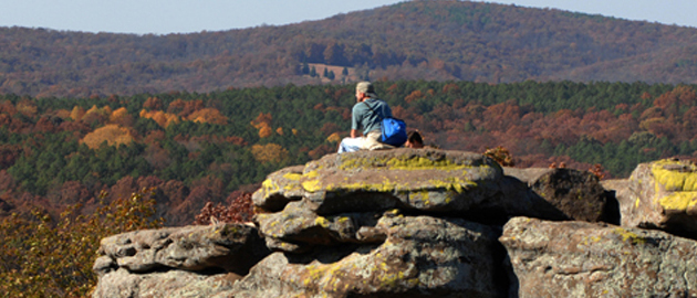 Man overlooks Southern Illinois cliff scene