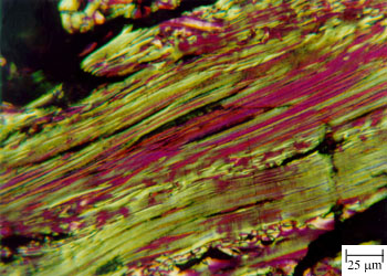 P02